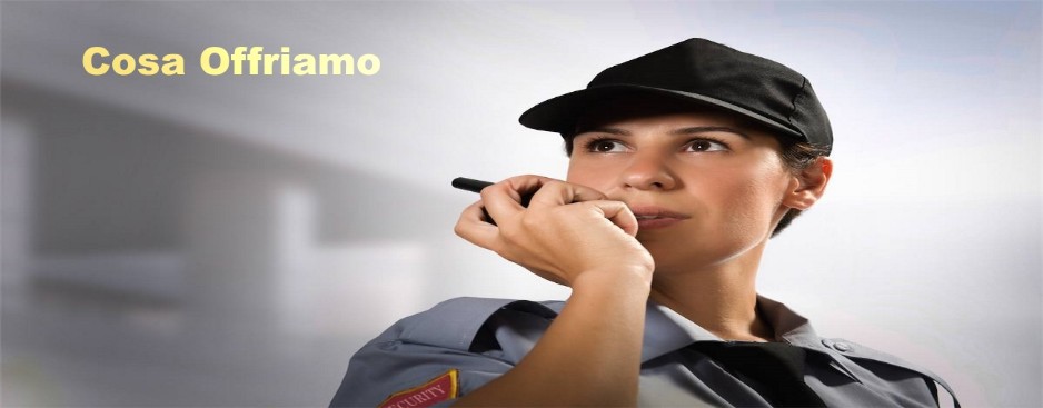 Leonardo Security